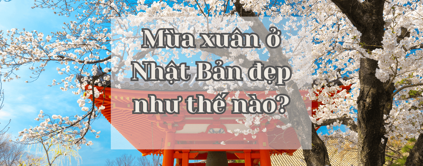 You are currently viewing Mùa xuân Nhật Bản